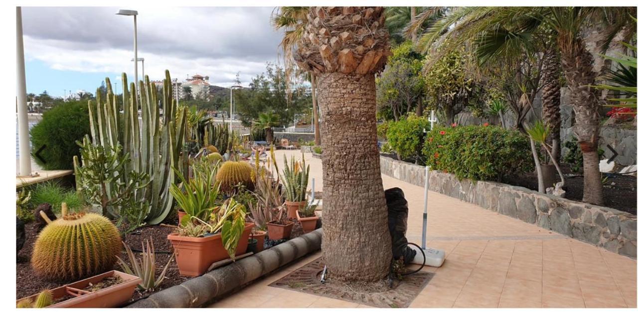 Exclusives Apartment 10 Meters To Ocean Maspalomas  Exterior photo