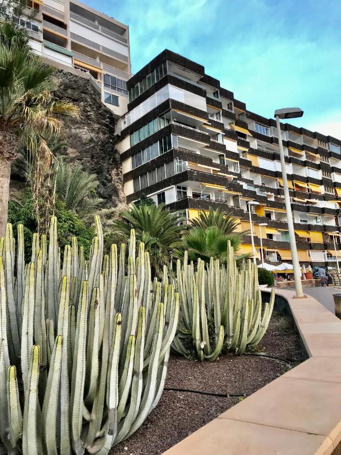 Exclusives Apartment 10 Meters To Ocean Maspalomas  Exterior photo
